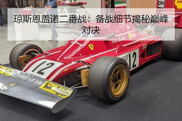 琼斯恩盖诺二番战：备战细节揭秘巅峰对决