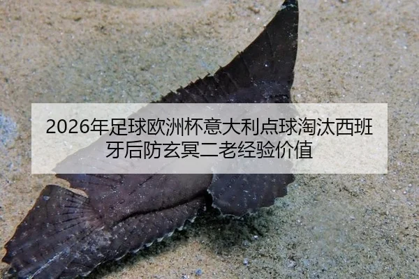 nian-zu-qiu-ou-zhou-bei-yi-da-li-dian-qiu-tao-tai-xi-ban-ya-hou-fang-xuan-ming-er-lao-jing-yan-jia-zhi-3-608.jpg