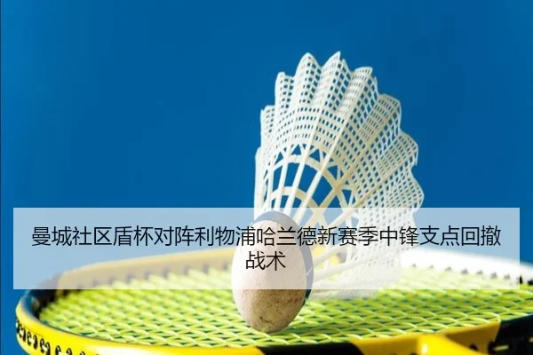 man-cheng-she-qu-dun-bei-dui-zhen-li-wu-pu-ha-lan-de-xin-sai-ji-zhong-feng-zhi-dian-hui-che-zhan-shu-3-396.jpg