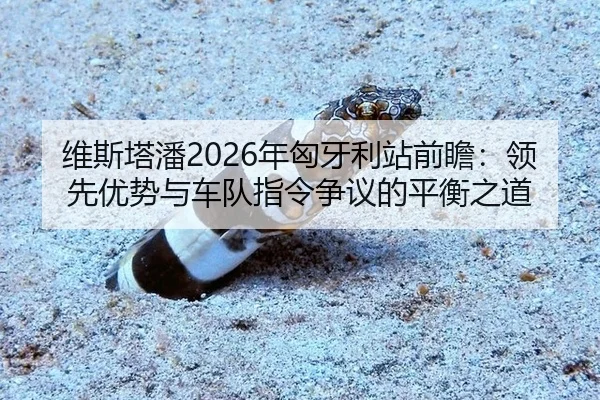 维斯塔潘2026年匈牙利站前瞻：领先优势与车队指令争议的平衡之道